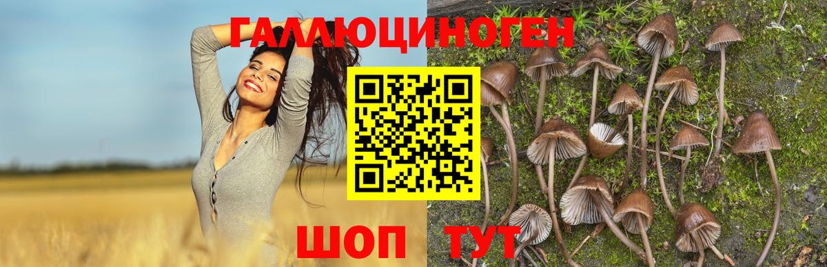 Новочебоксарск  Псилоцибиновые грибы Magic Shrooms  Вход с VPN 