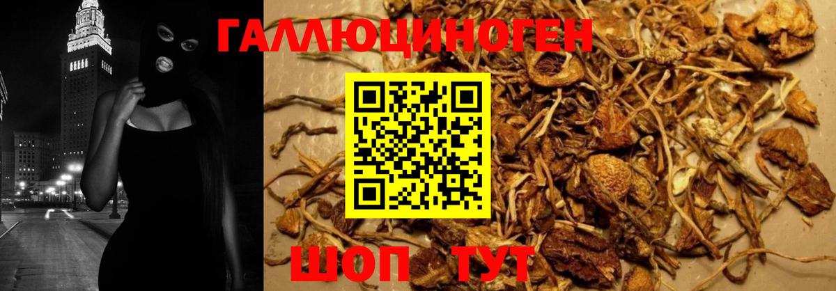 Псилоцибиновые грибы Cubensis Новочебоксарск