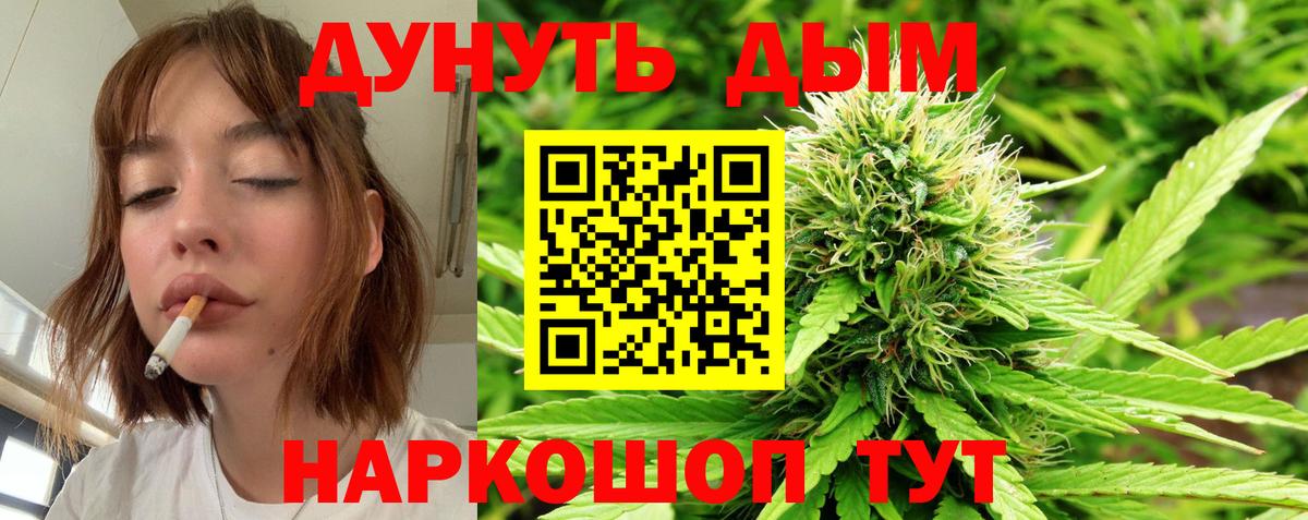 Бошки Шишки марихуана Новочебоксарск